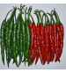 Chilli / Hot Pepper IVHPH-2 10 grams